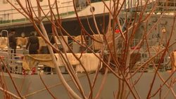 Ukrainian navy ships blockaded by four Russian ships in Crimean port News Clip