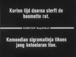 Animation of how a rat plague is caused and a patient with the plague Stock Footage