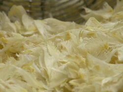 Fish market in action in Beijing, China News Clip