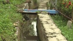 VOICED : Humble tofu powering Indonesian homes with clean energy News Clip