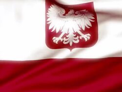 Loopable Polish Flag Stock Footage