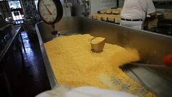 America Faces Surplus Of Cheese With Record Dairy Production Stock Footage