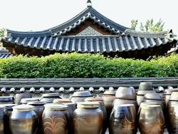 MS ZO Traditional food kimchi storage / Seoul, Seoul, South Korea    Stock Footage