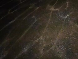 Underwater Caustics Stock Footage