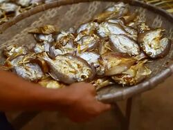 CU ZI SLO MO Shot of Platter with fish and man hand throwing fish to bamboo panel / Mountain village near Muang Ngoi, Luang Prabang, Laos Stock Footage