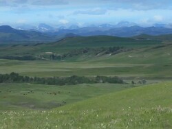 Business man runs up a hill in beautiful scenery Stock Footage