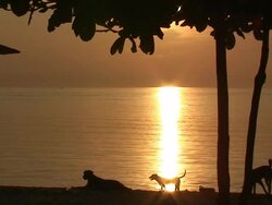 Sunset over the Pacific Ocean Stock Footage