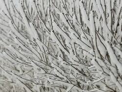 Winter Scene Stock Footage