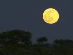 CU Shot of full moon / Tanzania Stock Footage