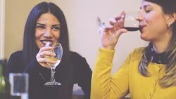 Jolly girls proposing a toaste Stock Footage