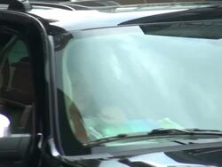 Martha Stewart at the 'Late Show with David Stock Footage