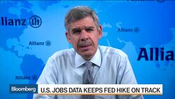 El-Erian: Minus Shock, Data Points to Dec. Fed Hike News Clip