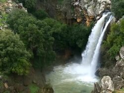 MS View of Saar waterfall at spring time with mediterranean vegetation / Galilee, israel Stock Footage