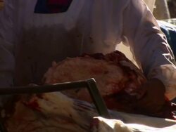 Woman taking large piece of meat from cart into shop, Copacabana, Bolivia Stock Footage