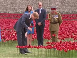 Prince Harry Plants Poppy at Tower of London News Clip