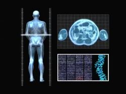 X-Ray Scan Stock Footage