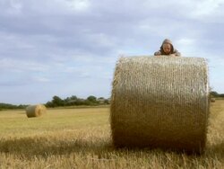 Boy on straw bale 6096 Stock Footage