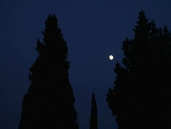 WS Full moon behind trees at night / Tuscany, Italy Stock Footage