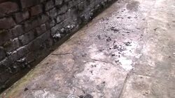 Tibetan monk sets himself on fire at shrine in Nepal News Clip