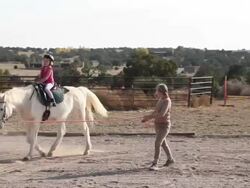 MS Shot of young girl having horseback riding lesson / Lamy, New Mexico, United States Stock Footage