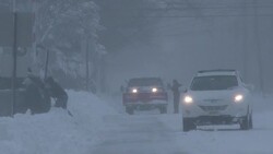 Historic Blizzard, Snowstorm, Whiteout Conditions - Car Stuck In Deep Snow Stock Footage