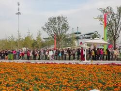 WS PAN View of people waiting in line in 2011 International Horticultural Exposition/xian,shaanxi,China Stock Footage