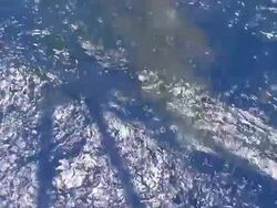 Medium Close Up hand-held - Sharks thrash around a fishing boat / Great Barrier Reef, Australia Stock Footage