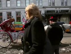 Opposition Grows Against Mayor De Blasio's Proposed Ban On Horse Drawn Carriages Stock Footage