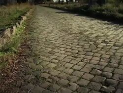 The Appian way in Rome, or Via Appia Antica Stock Footage