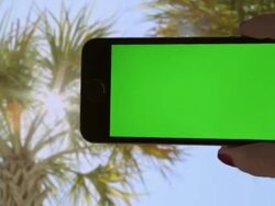 Make your own selfie Palm trees sunset Female One Person Stock Footage