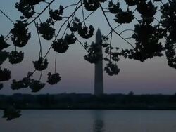 Montage of shots of the Washington Monument Stock Footage