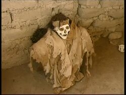 Cemetery of Chauchilla, mummies and skulls in grave, Peru Stock Footage