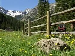 Fence and flowers near Fairplay, Colorado Stock Footage