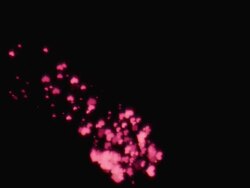 Particle 3D Hearts Stock Footage