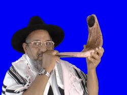 Sounding a shofar Stock Footage