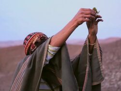 CU ZO Shot of mam showing Native ritual AUDIO / South Of Peru, Nazca, Peru Stock Footage