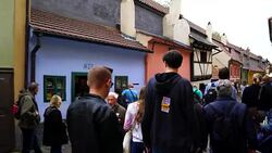 Walking Golden Lane Stock Footage