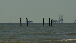 Birds perch on pilings near oil rigs that operate in the Gulf of Mexico. Stock Footage