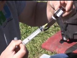 After spending the past year in a New Jersey refuge, two orphan black bear cubs have been returned to the wild. The baby black bears were left alone last year after wildlife officials were forced to shoot the parents for coming too close to people News Clip