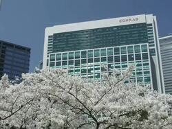 Cherry Blossom in Hamarikyu Park Stock Footage