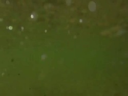 POV Swimming and Diving in the Sea Stock Footage