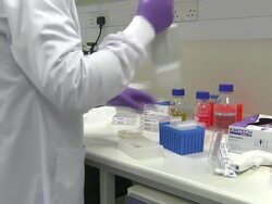 Lab Technician Working With Samples News Clip