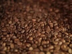 Coffee beans in a roaster Stock Footage