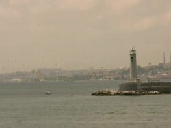 Sea Light and Gulls Stock Footage