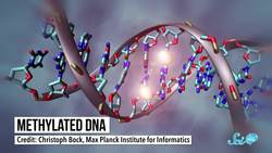 Can Trauma Be Inherited? Instructional Video