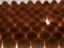 CU, Hand picking up egg Stock Footage