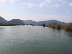 HD: Creek Stock Footage