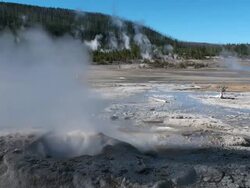 Yellowstone Geyser Stock Footage
