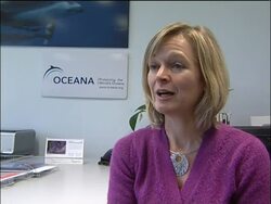 Ocean conservationists welcome EU shark protection plan News Clip