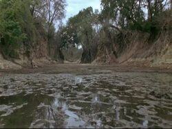 River Bed sequence - WA stagnant water in foreground, dry wide tree-lined riverbed, Mana Pools, Zimbabwe Stock Footage